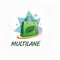 Multilane.store